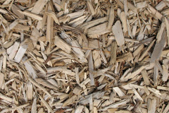 biomass boilers Culfordheath